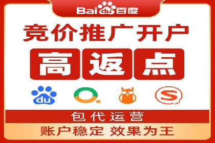 SEM推广实战：案例解析与策略探讨